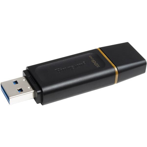 KINGSTON USB Flash Drive DTX/128GB