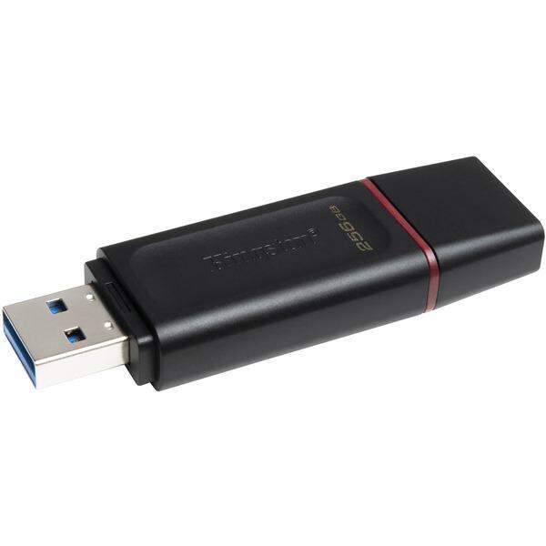 KINGSTON USB Flash Drive DTX/256GB